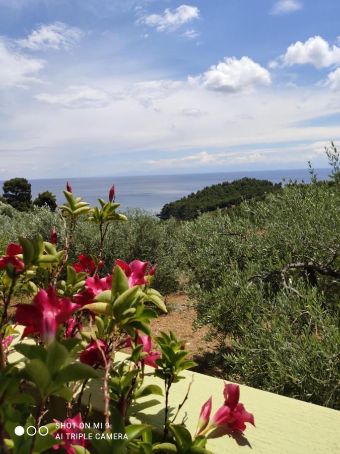 Elia House 1 Astoning Sea View Among The Olive Trees Apartman Patitíri Kültér fotó