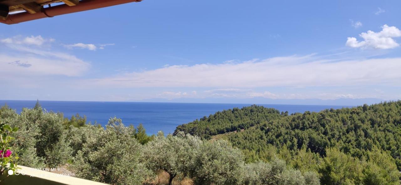 Elia House 1 Astoning Sea View Among The Olive Trees Apartman Patitíri Kültér fotó
