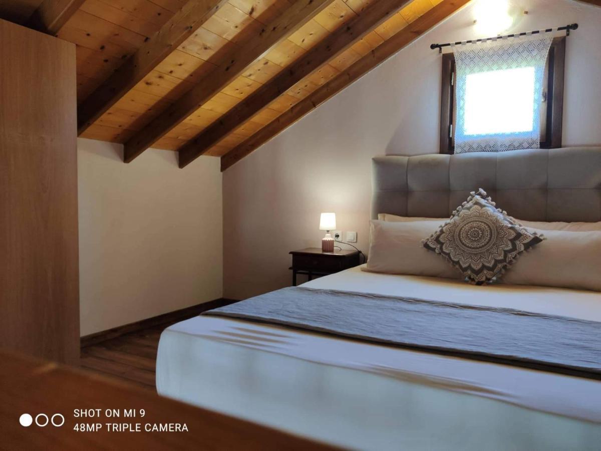 Elia House 1 Astoning Sea View Among The Olive Trees Apartman Patitíri Kültér fotó