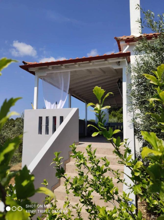 Elia House 1 Astoning Sea View Among The Olive Trees Apartman Patitíri Kültér fotó