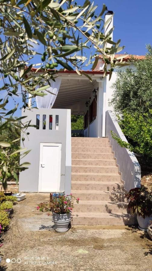 Elia House 1 Astoning Sea View Among The Olive Trees Apartman Patitíri Kültér fotó