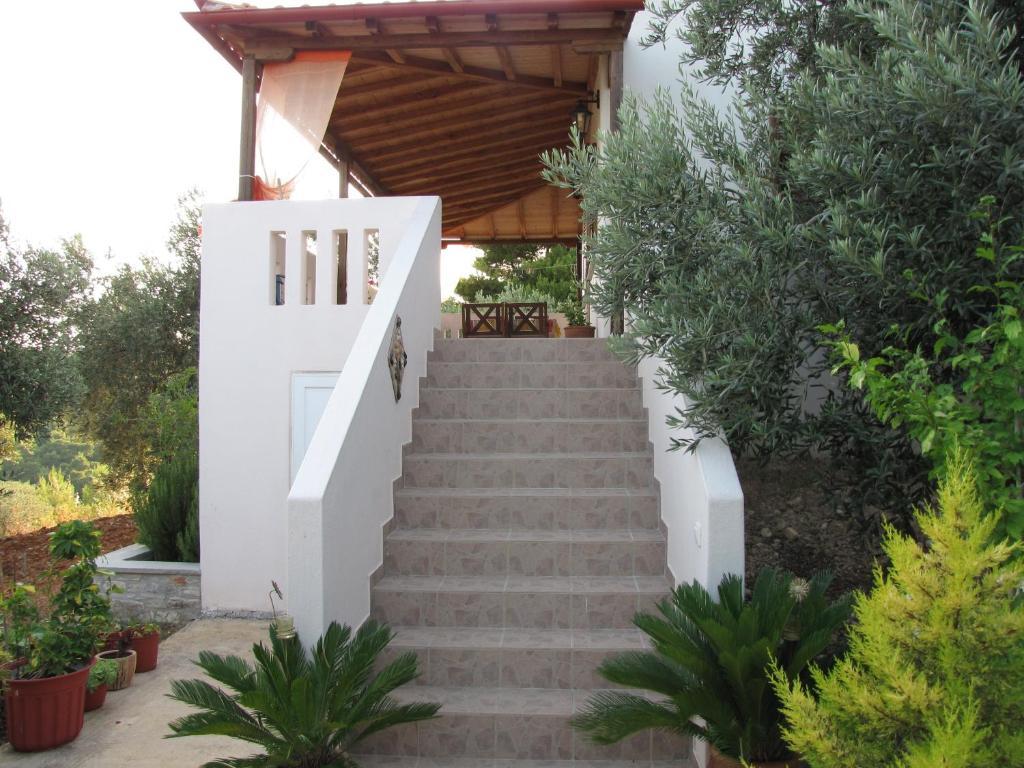 Elia House 1 Astoning Sea View Among The Olive Trees Apartman Patitíri Szoba fotó