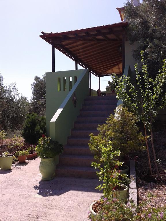 Elia House 1 Astoning Sea View Among The Olive Trees Apartman Patitíri Kültér fotó